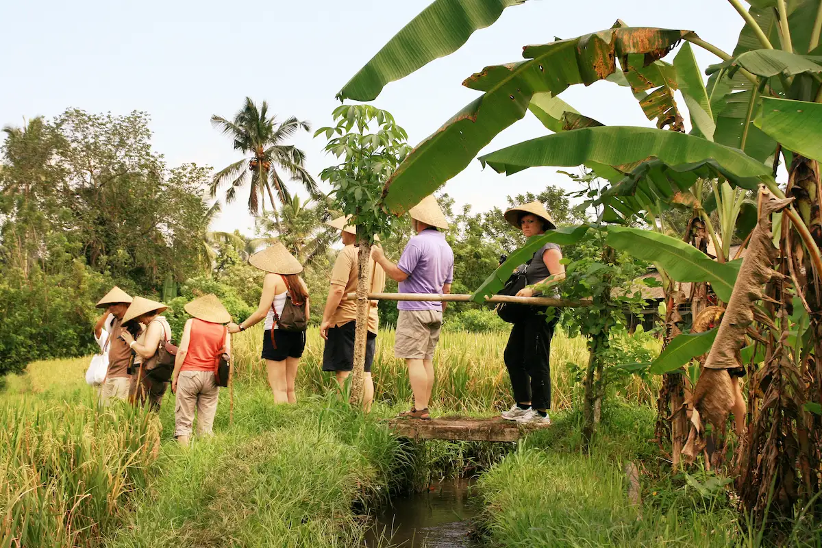 Travelers walking through Jatiluwih Rice Terraces, UNESCO World Heritage site on the Bali UNESCO Tour