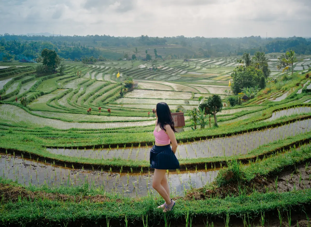 Woman exploring Jatiluwih Rice Terraces, a UNESCO World Heritage site on a Bali tour