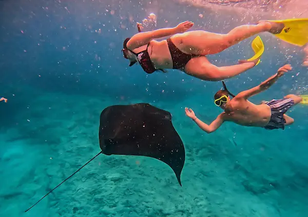 Snorkeling with giant manta rays at Nusa Penida – Aventuria Bali Private Tour