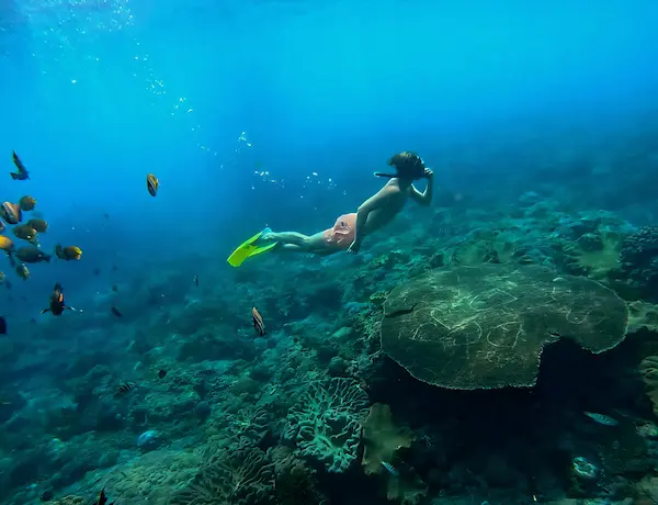 Scenic Nusa Penida island trip with stunning cliffs and ocean views – Aventuria Bali Private Tour